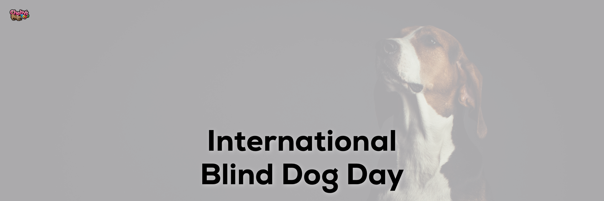 International Blind Dog Day Chelsy's Toys