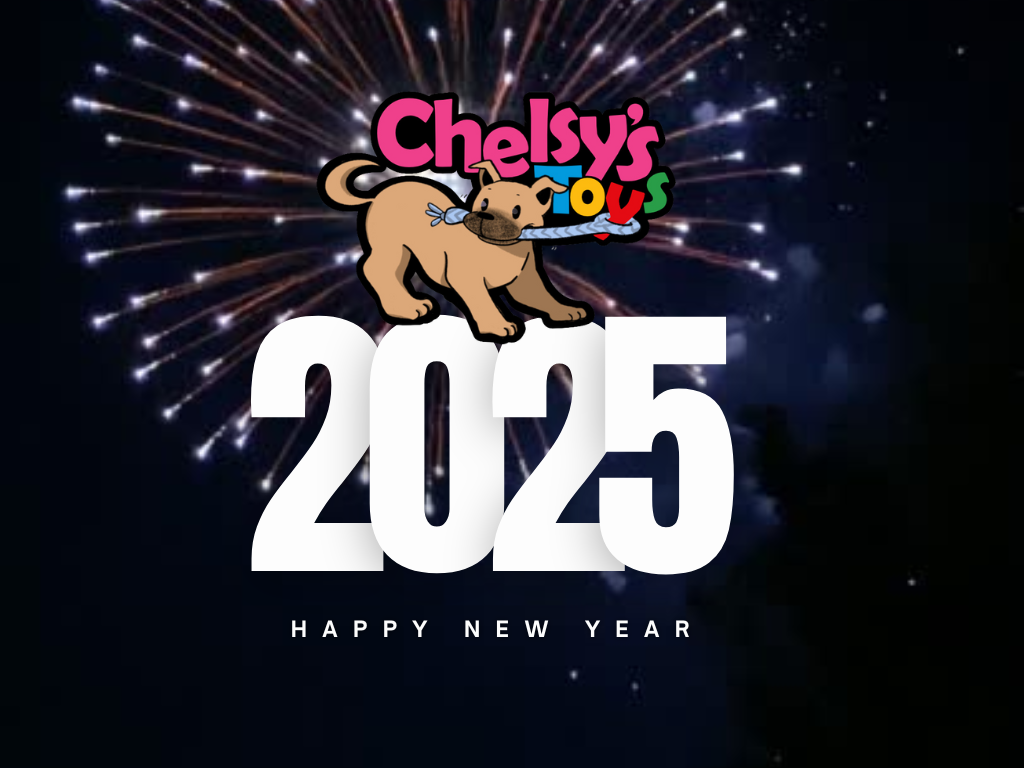 Happy New Year from Chelsy’s Toys!