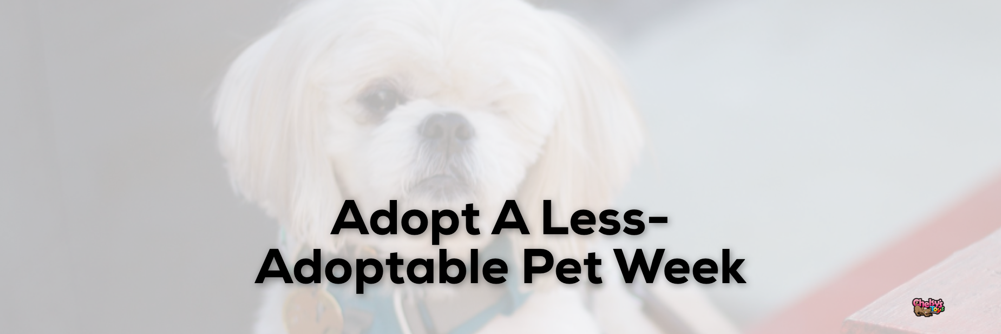 Adopt A Less-Adoptable Pet Week – Chelsy's Toys