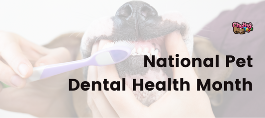 National Pet Dental Health Month