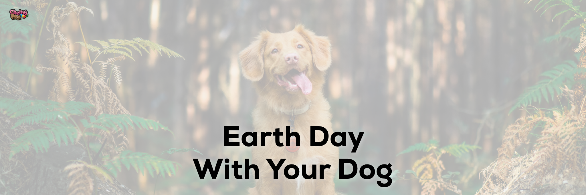 Earth Day With Your Dog – Chelsy's Toys