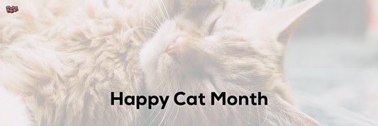 Happy Cat Month