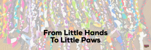 From Little Hands To Little Paws