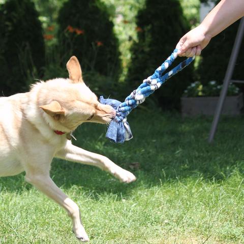 Best tug of on sale war dog toy